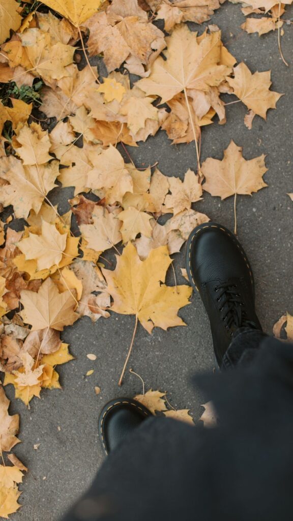 chalesa vintage iphone wallpaper