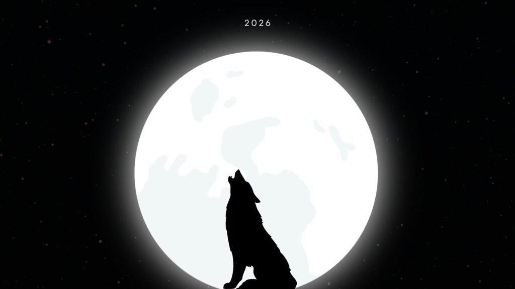 Black and White Modern Wolf at Night Desktop Wallpaper