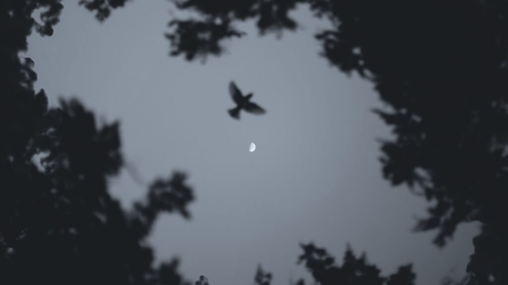 Dark Halloween Quote Desktop Wallpaper