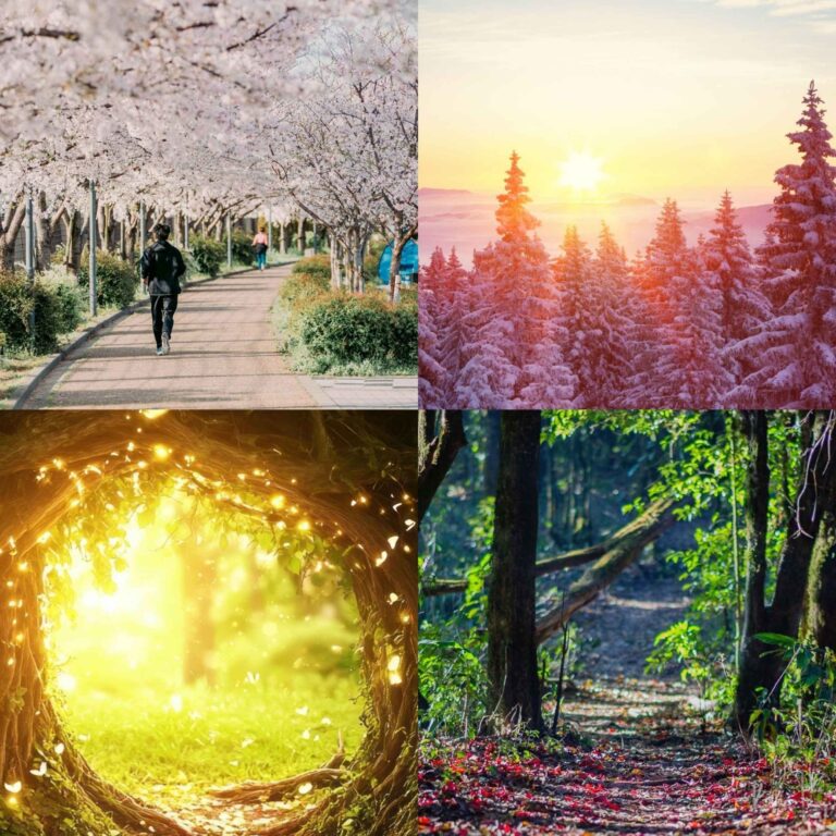 nature background wallpaper