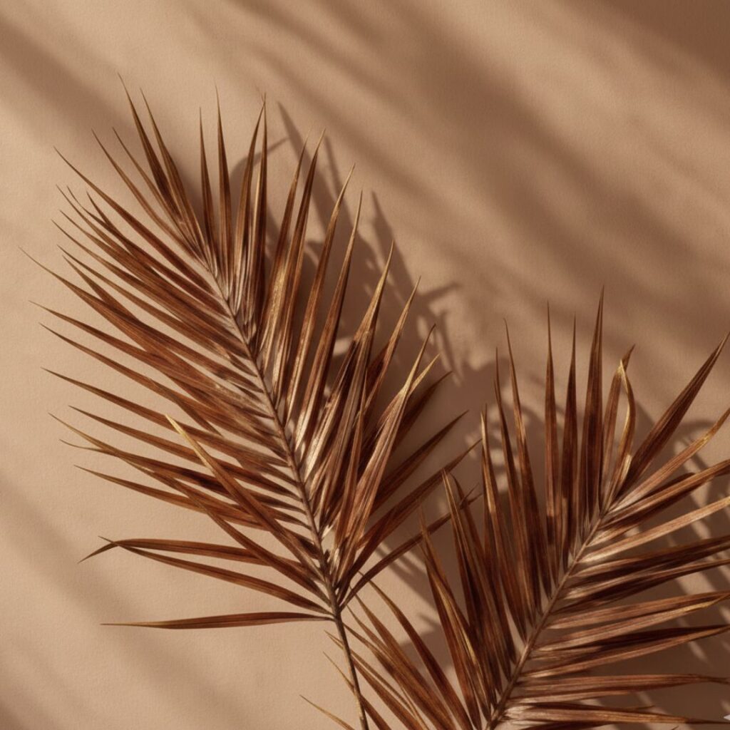 Sienna brown aesthetic wallpaper i phone