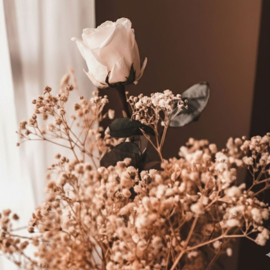 Rose brown aesthetic wallpaper i phone