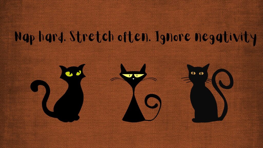 Funny Cat brown aesthetic wallpaper i phone