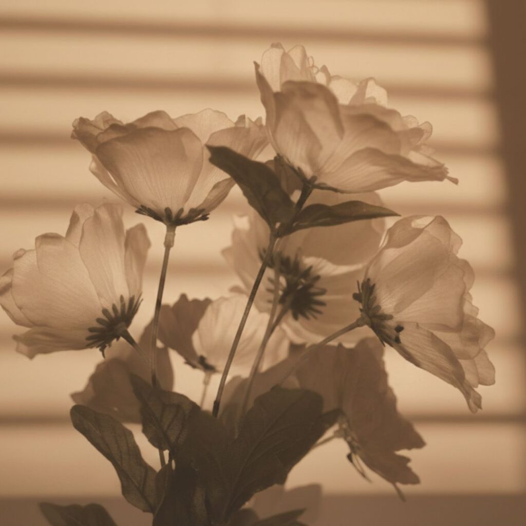 Attractive rose brown aesthetic wallpaper i phone