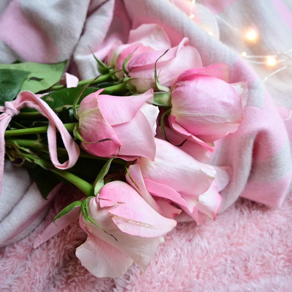 Bouquet of pink roses tied with a ribbon on a fuzzy blanket pink wallpaper