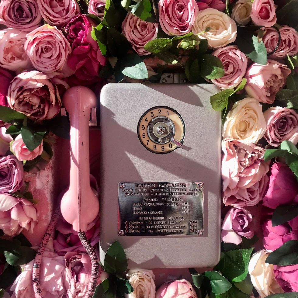 Vintage grey rotary wall phone surrounded by a bed of pink and white roses pink wallpaper
