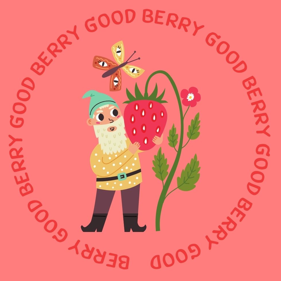A cute garden gnome holding a large strawberry surrounded by a butterfly strawberry cartoon
