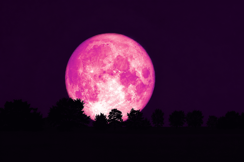 Large pink moon over dark trees