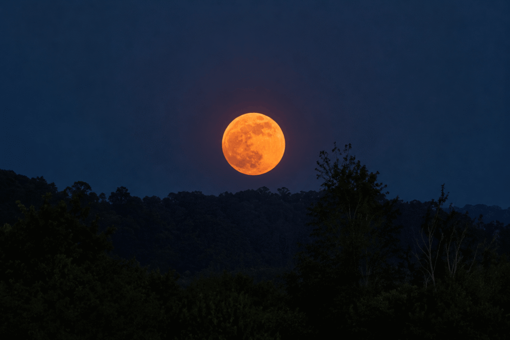 Moonrise over a dark forest
