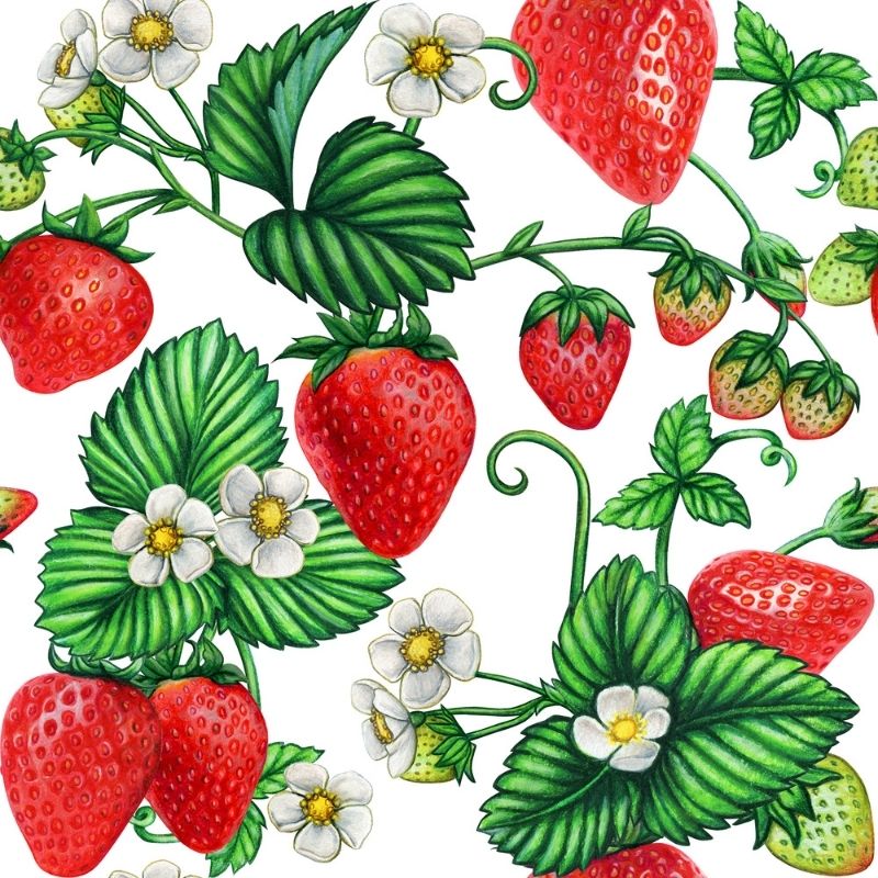 Strawberry-patterned fabric design by Jessica S. Designs