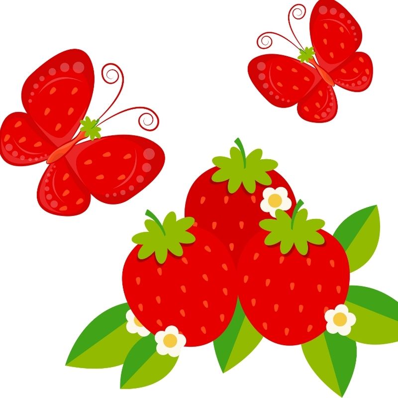 Vector illustration of vibrant strawberries