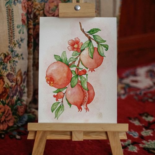 Pomegranate Illustration Wallpaper